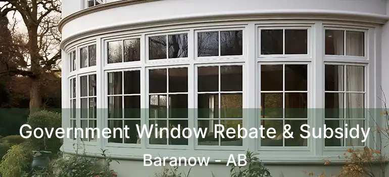  Government Window Rebate & Subsidy Baranow - AB