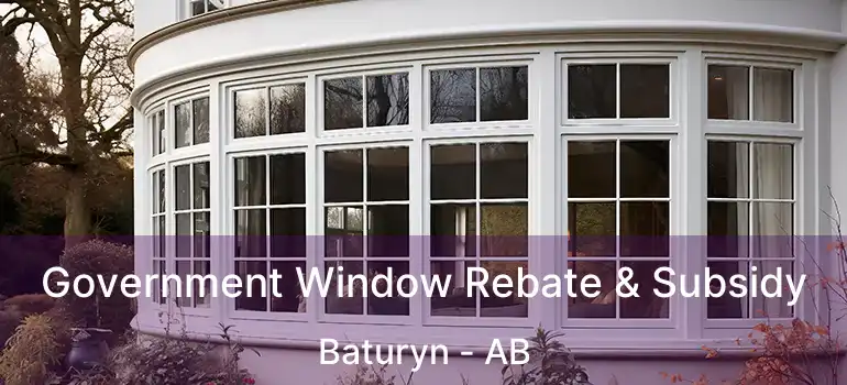  Government Window Rebate & Subsidy Baturyn - AB