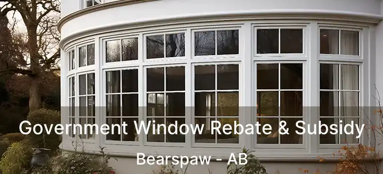  Government Window Rebate & Subsidy Bearspaw - AB