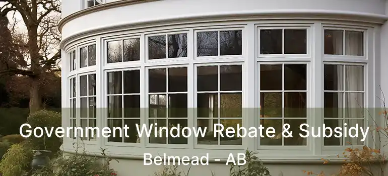  Government Window Rebate & Subsidy Belmead - AB