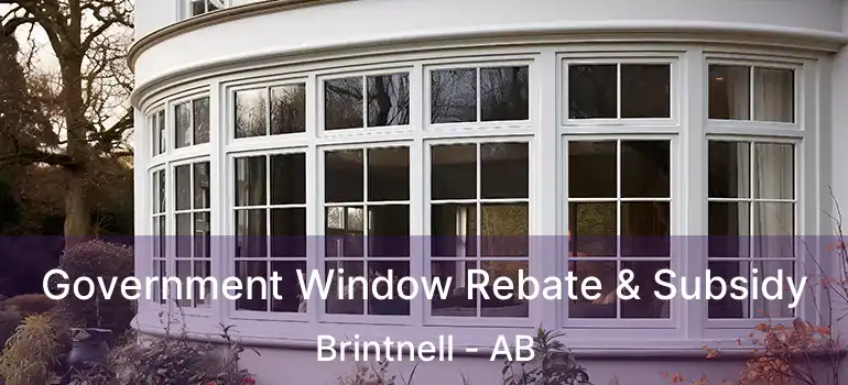  Government Window Rebate & Subsidy Brintnell - AB