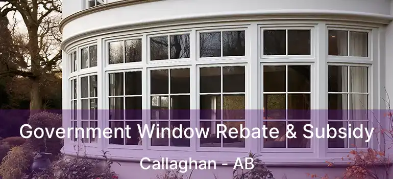  Government Window Rebate & Subsidy Callaghan - AB