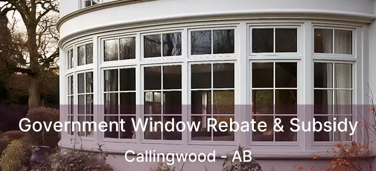  Government Window Rebate & Subsidy Callingwood - AB