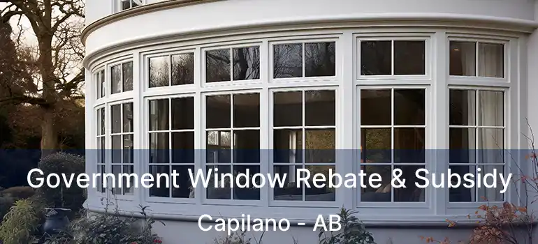  Government Window Rebate & Subsidy Capilano - AB