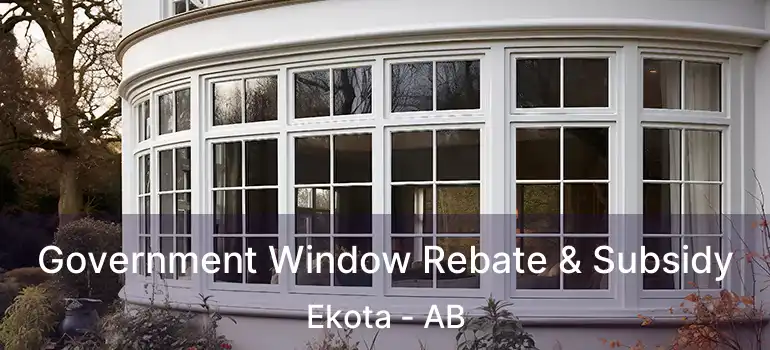 Government Window Rebate & Subsidy Ekota - AB