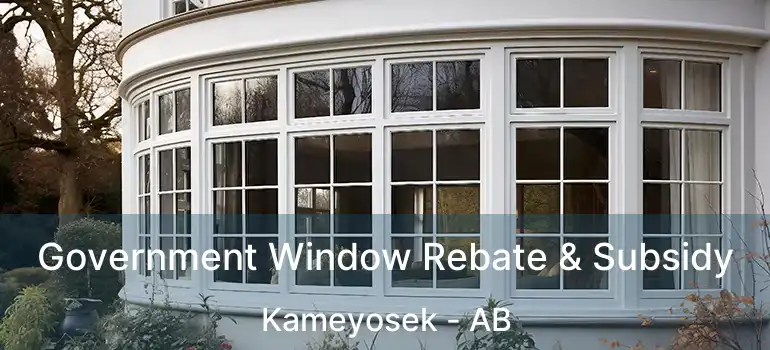  Government Window Rebate & Subsidy Kameyosek - AB