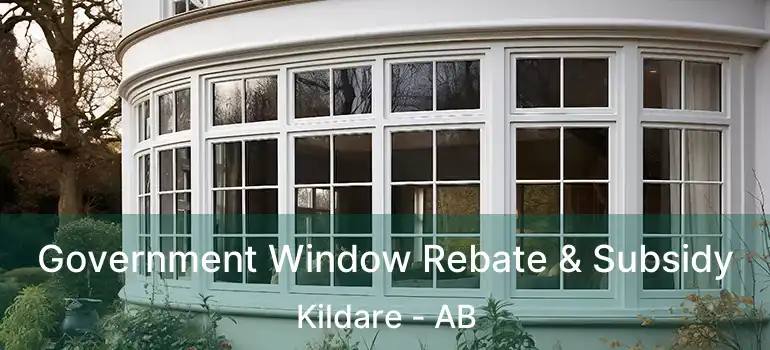  Government Window Rebate & Subsidy Kildare - AB