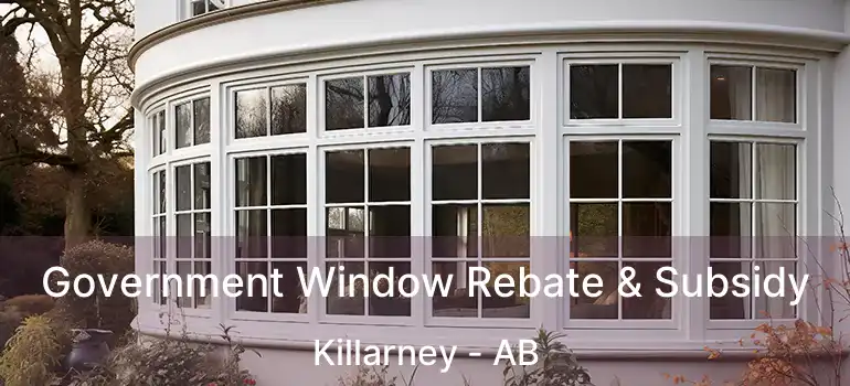  Government Window Rebate & Subsidy Killarney - AB