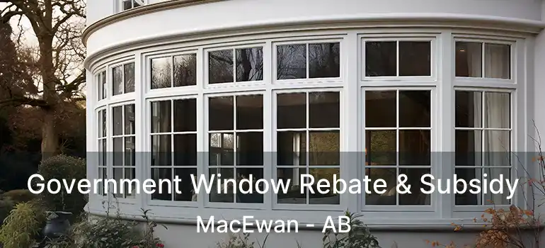  Government Window Rebate & Subsidy MacEwan - AB