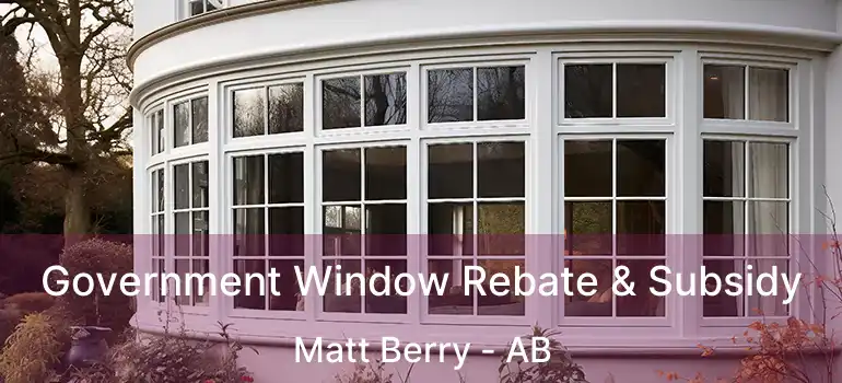  Government Window Rebate & Subsidy Matt Berry - AB