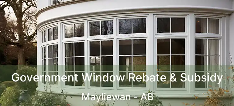  Government Window Rebate & Subsidy Mayliewan - AB