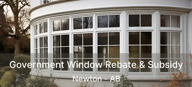  Government Window Rebate & Subsidy Newton - AB
