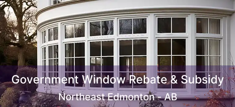  Government Window Rebate & Subsidy Northeast Edmonton - AB