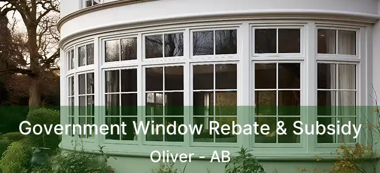  Government Window Rebate & Subsidy Oliver - AB