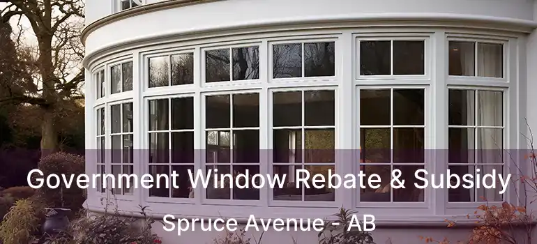  Government Window Rebate & Subsidy Spruce Avenue - AB
