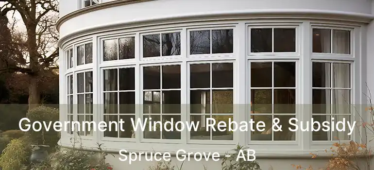  Government Window Rebate & Subsidy Spruce Grove - AB