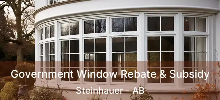  Government Window Rebate & Subsidy Steinhauer - AB