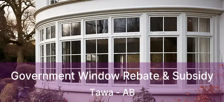  Government Window Rebate & Subsidy Tawa - AB