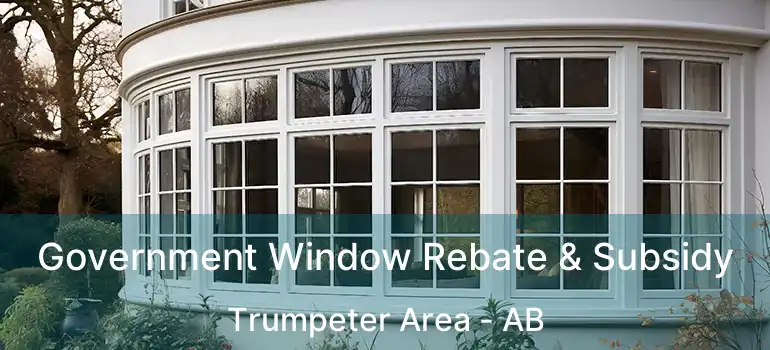  Government Window Rebate & Subsidy Trumpeter Area - AB