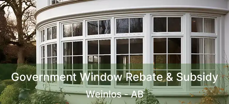  Government Window Rebate & Subsidy Weinlos - AB