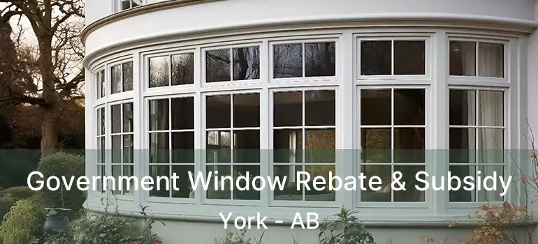  Government Window Rebate & Subsidy York - AB