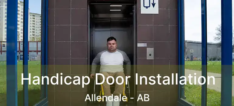  Handicap Door Installation Allendale - AB