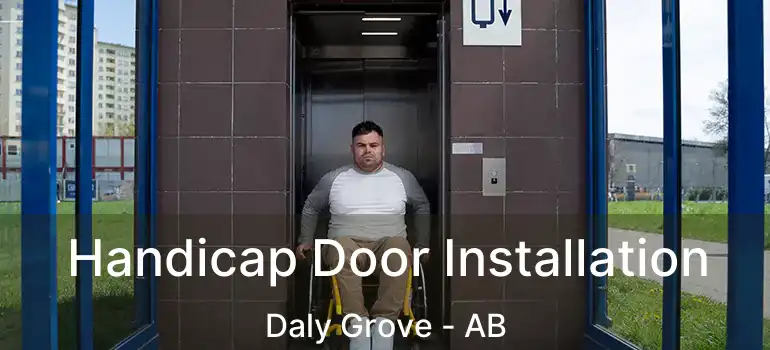  Handicap Door Installation Daly Grove - AB