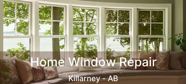  Home Window Repair Killarney - AB