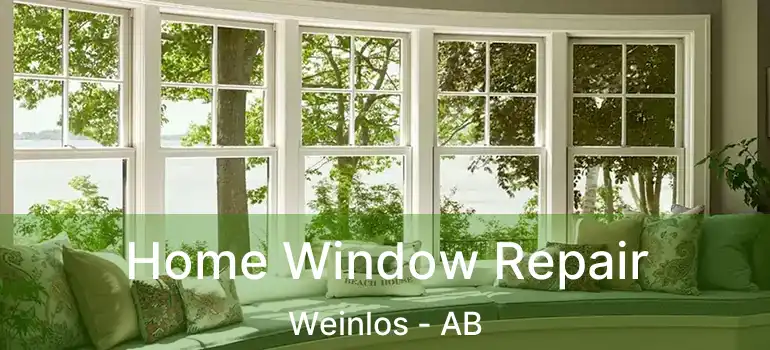  Home Window Repair Weinlos - AB