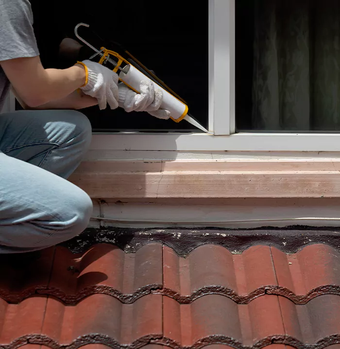 Roof Window Services in Edmonton, Alberta