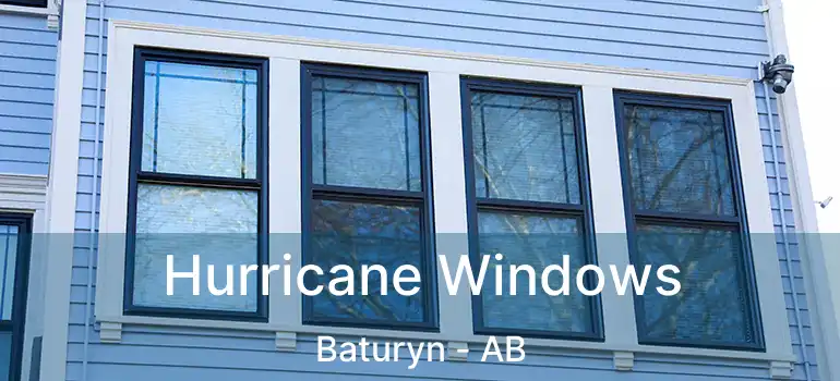  Hurricane Windows Baturyn - AB