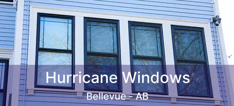  Hurricane Windows Bellevue - AB