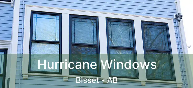  Hurricane Windows Bisset - AB