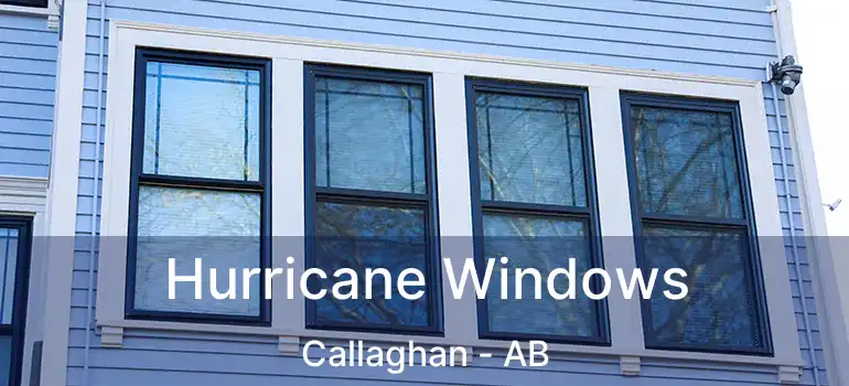  Hurricane Windows Callaghan - AB