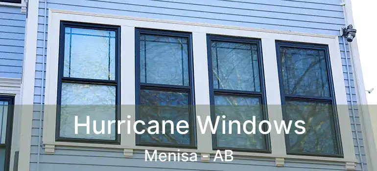  Hurricane Windows Menisa - AB