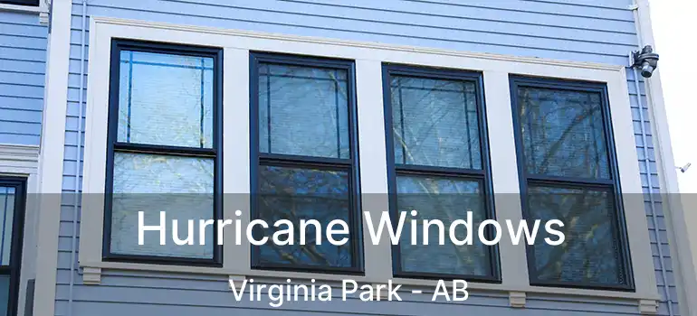  Hurricane Windows Virginia Park - AB