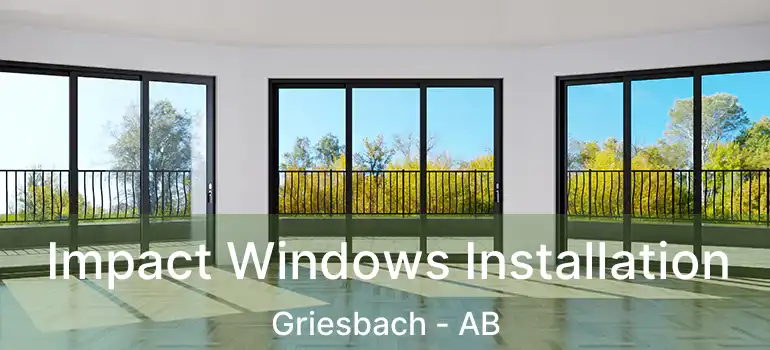  Impact Windows Installation Griesbach - AB