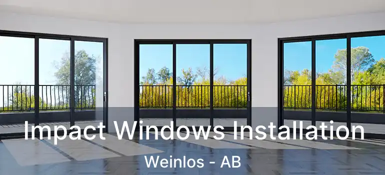  Impact Windows Installation Weinlos - AB