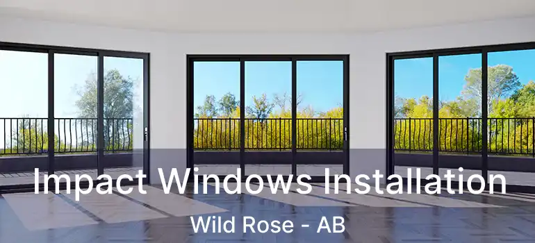  Impact Windows Installation Wild Rose - AB