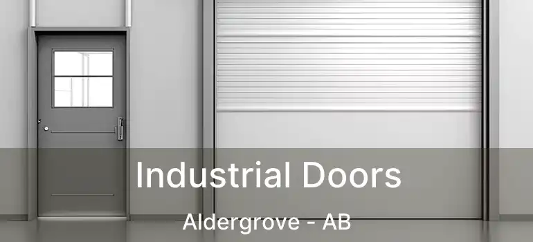  Industrial Doors Aldergrove - AB