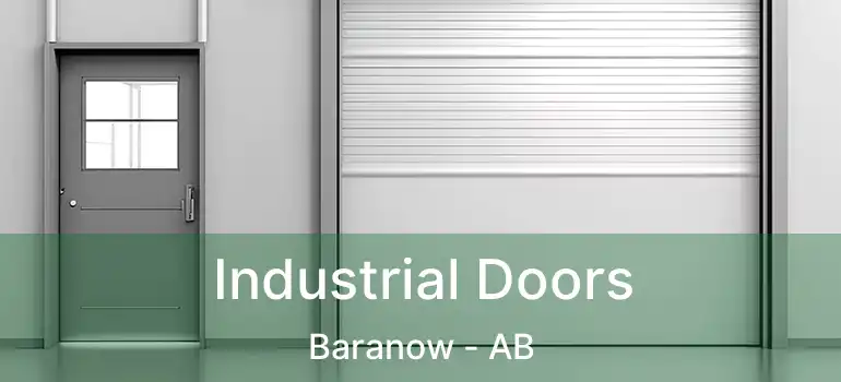  Industrial Doors Baranow - AB