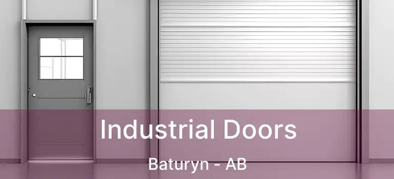 Industrial Doors Baturyn - AB