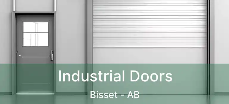  Industrial Doors Bisset - AB