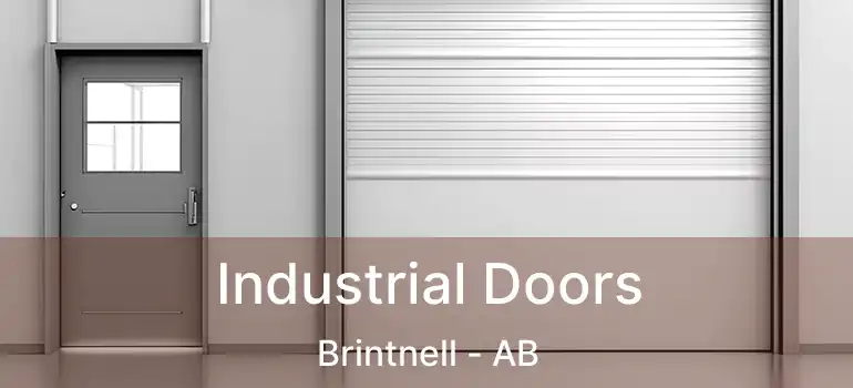  Industrial Doors Brintnell - AB