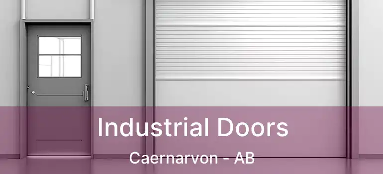  Industrial Doors Caernarvon - AB