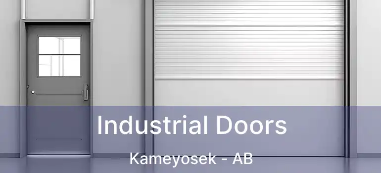  Industrial Doors Kameyosek - AB