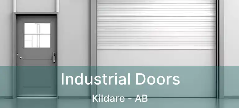  Industrial Doors Kildare - AB