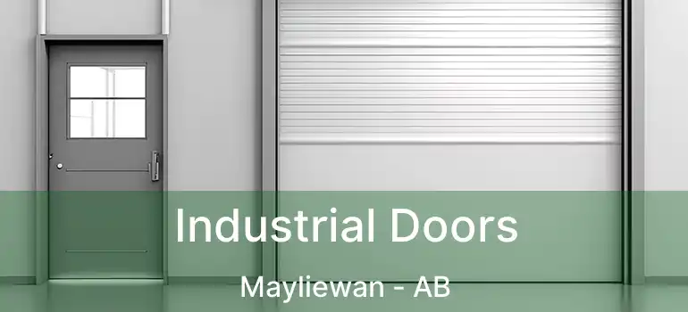  Industrial Doors Mayliewan - AB