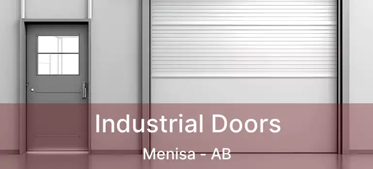  Industrial Doors Menisa - AB