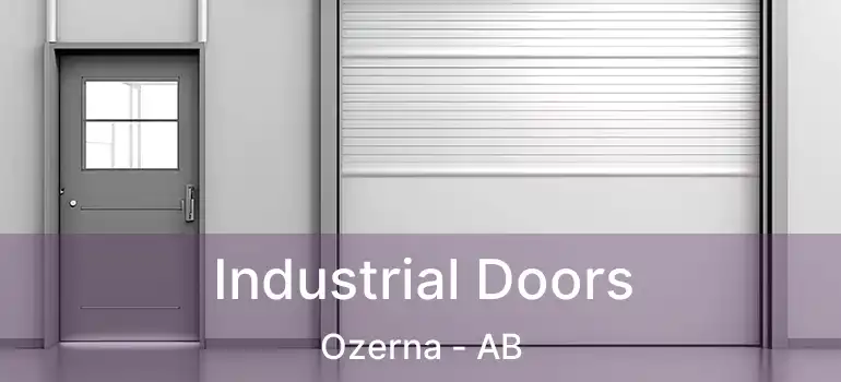  Industrial Doors Ozerna - AB